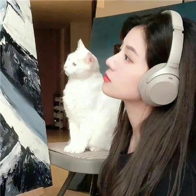 绿豚街影